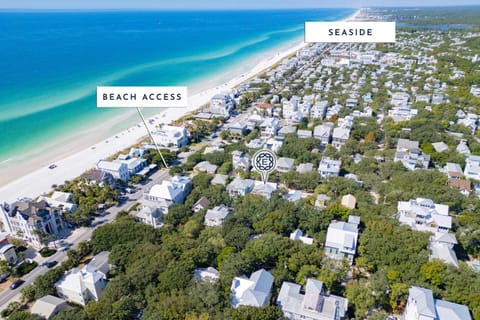 Mischievous Mermaid House in Seagrove Beach