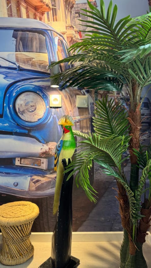 Casa Cubana Apartment in Hauts-de-France