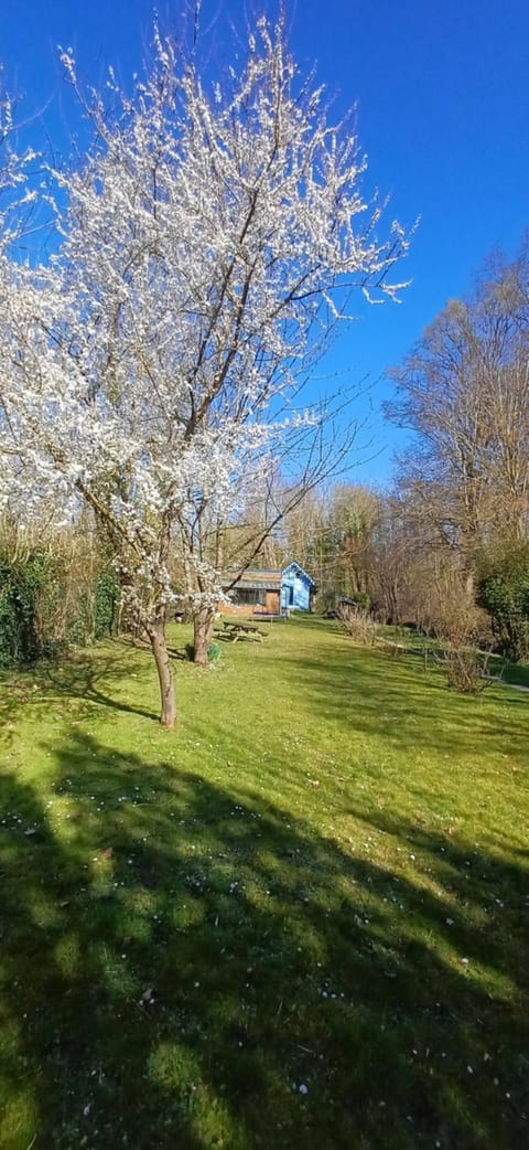 Natural landscape, Garden