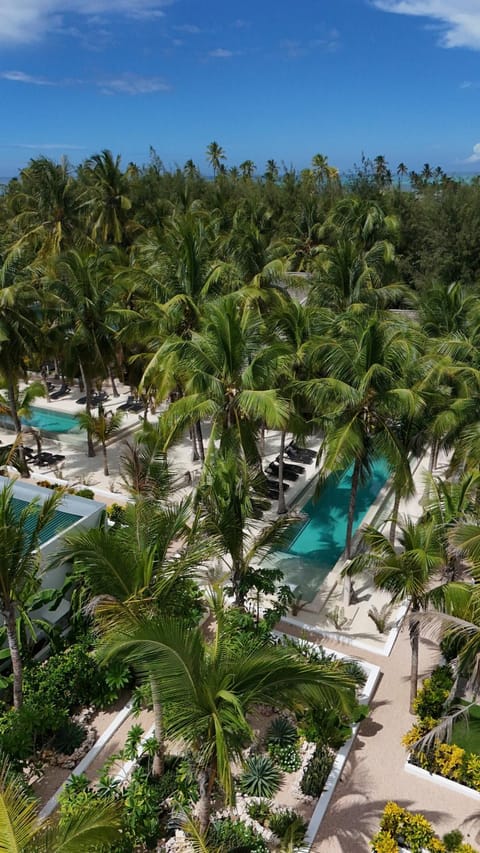 Natural landscape, Garden view, Swimming pool