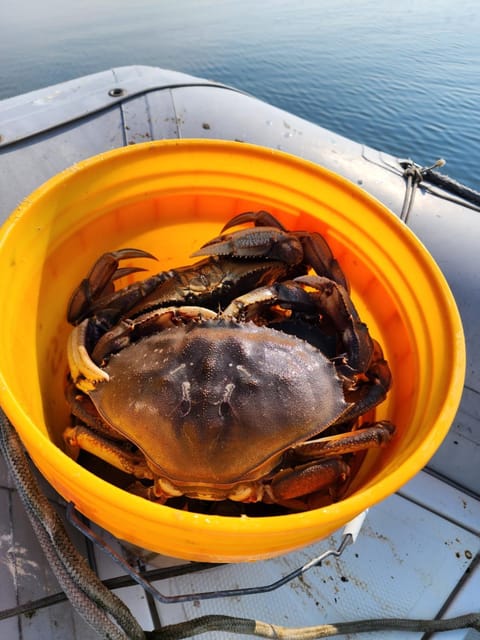 Warm Beach House Stanwood House in Camano Island
