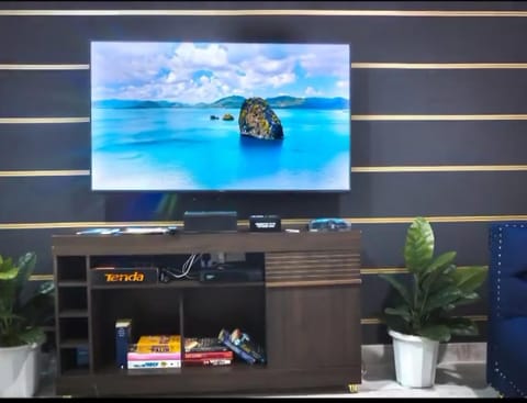 TV and multimedia