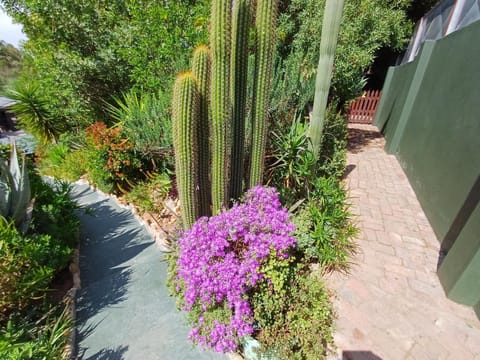 Owl's Den 2 Apartment in Western Cape