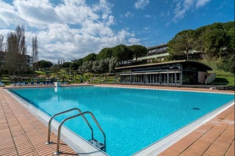 Natural landscape, Swimming pool, sunbed