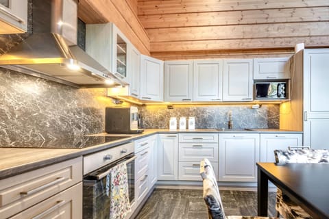 Kitchen or kitchenette, dishwasher, oven, stove, toaster