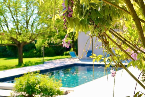 Spring, Garden, Garden view, Pool view, Swimming pool