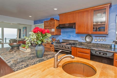 Oceanfront luxury wdramatic views - 30 day rental minimum House in Montara
