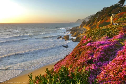 Oceanfront luxury wdramatic views - 30 day rental minimum House in Montara