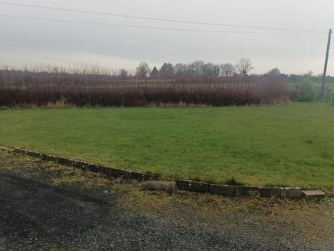 Garden, Garden view, Quiet street view
