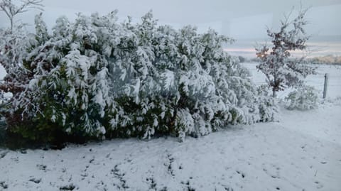 Garden view, Quiet street view
