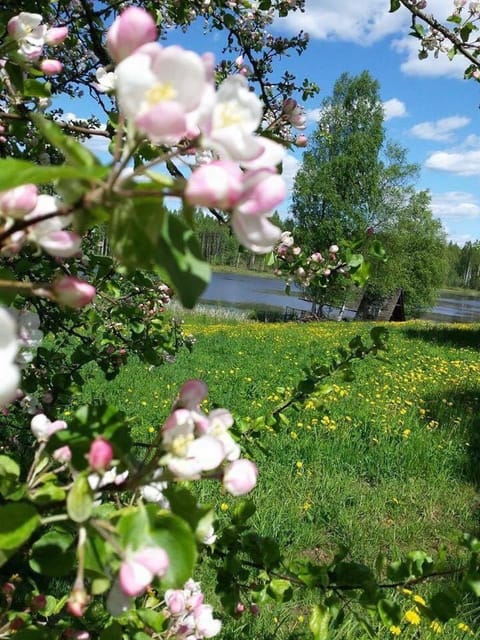 Spring, Neighbourhood, Natural landscape