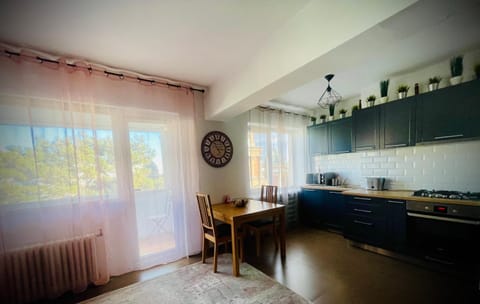 La Giuliano Apartment in Craiova