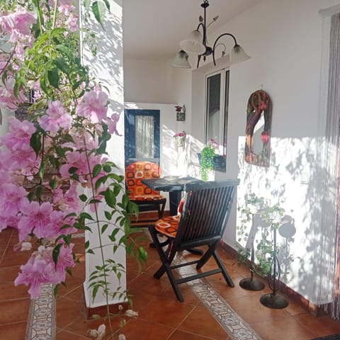 Patio, Day, Garden, Balcony/Terrace, Garden view