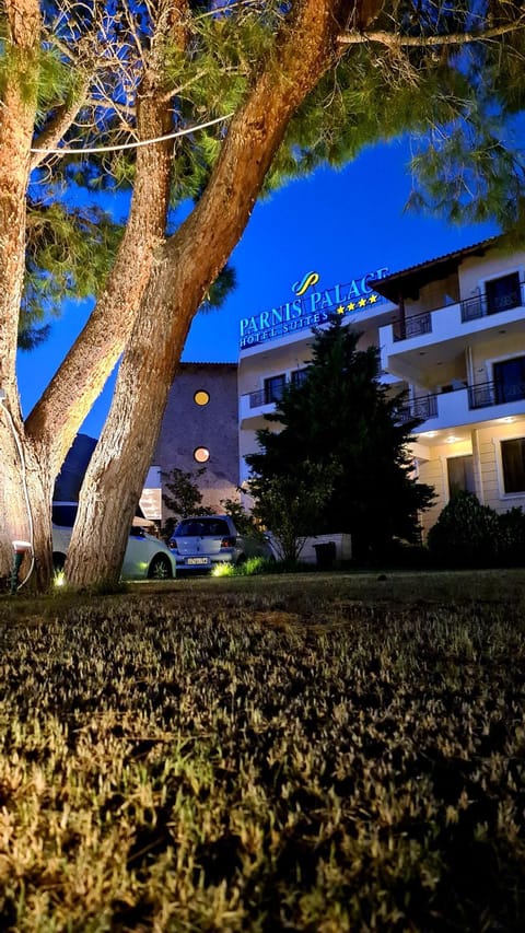 Property view