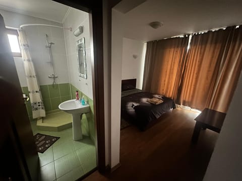 Pensiunea Artemis Bed and Breakfast in Craiova