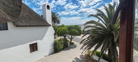 Concha at Shelley Point House in Western Cape