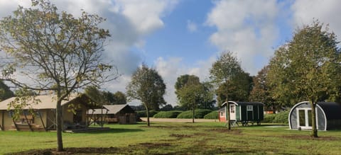 Property building, Spring, Day, Natural landscape, Garden view