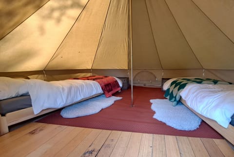 Bed, Photo of the whole room, Bedroom, group of guests