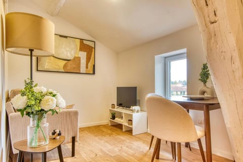 Le Cocon - Appart climatisé - cœur de Lyon 5ème Apartment in Lyon