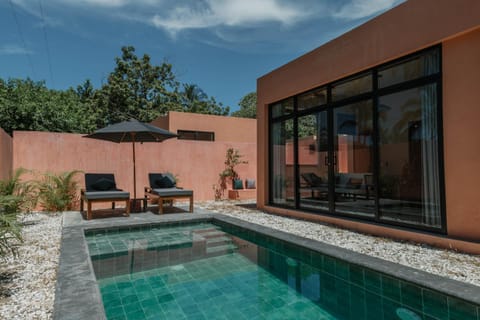 Garden, Pool view, Swimming pool, sunbed