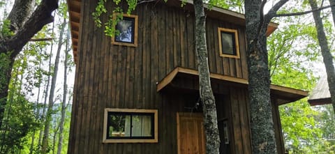 Property building, Natural landscape, Garden