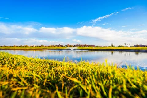 Nearby landmark, Spring, Day, Natural landscape, Kitchen or kitchenette, Lake view, River view