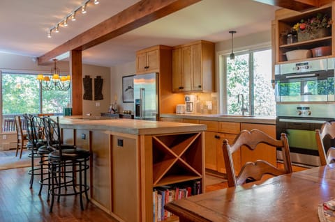 Aspen Home House in Ketchum