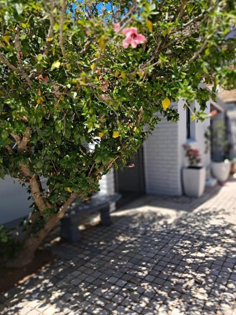 Blessed at Bay Ivy Guest Suite Bed and Breakfast in Western Cape