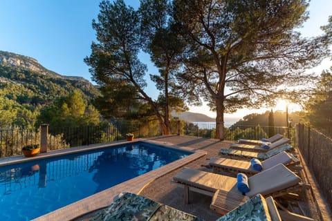 Property view