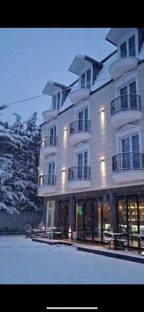Mont Blanc Hotel Hotel in North Macedonia