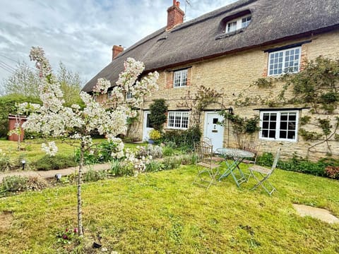Property building, Spring, Day, Garden, Garden view