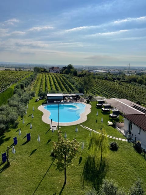 Spring, Day, Natural landscape, Garden, Garden view, Pool view, Swimming pool, sunbed