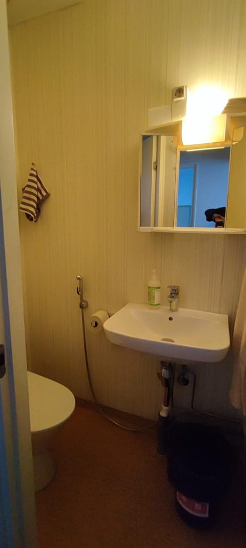 Kokonainen huoneisto olohuone makuualkovi ja keittiö ei suihkuh Iisalmen keskusta Apartment in Finland