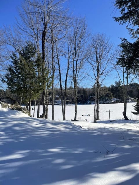 Natural landscape, Winter