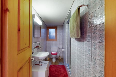 Ferienchalet Seeblick Apartment in Fribourg, Switzerland