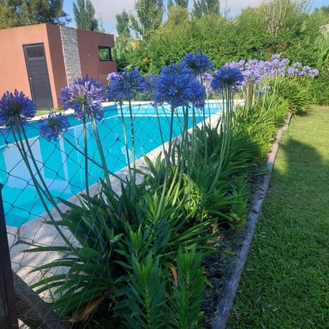 Natural landscape, Swimming pool