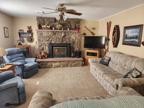 TV and multimedia, Living room, Family, fireplace
