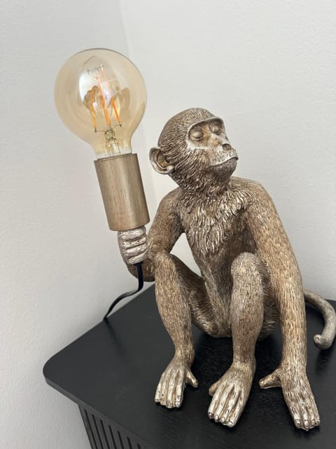 Vibrant Beachfront Getaway in Camps Bay Apartment in Camps Bay