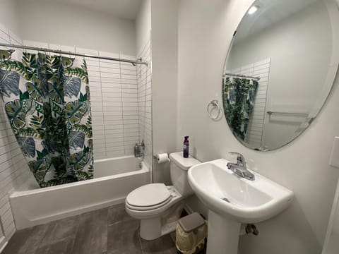 Shower, Toilet, Bathroom, Bath, towels