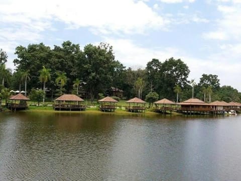 Natural landscape