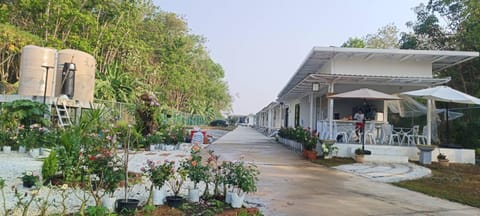 Property building, Restaurant/places to eat, Spring, Garden, Garden view, Street view, Breakfast