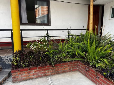 El Agave Bed and Breakfast in State of Mexico