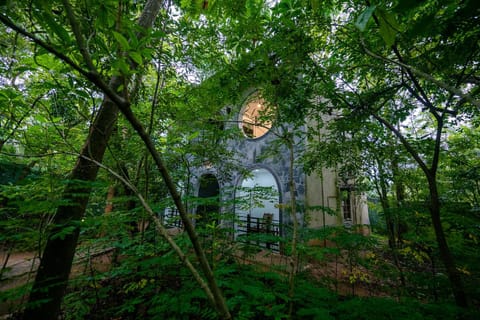 Natural landscape, Garden