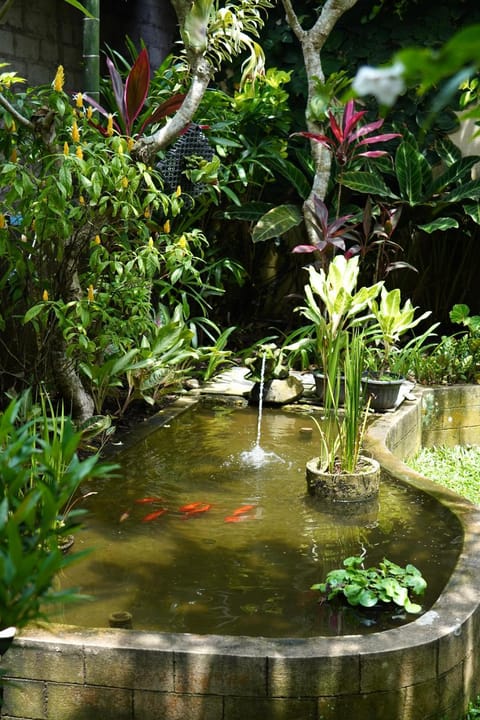 Chandra House Ubud 1 Bed and Breakfast in Ubud