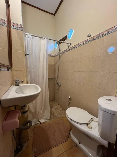 Thani House House in Ubud