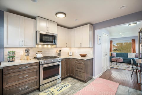 The Funky Flamingo - HOT TUB - BBQ - Fire Pit House in Arvada