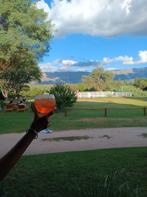Swimming pool, Alcoholic drinks
