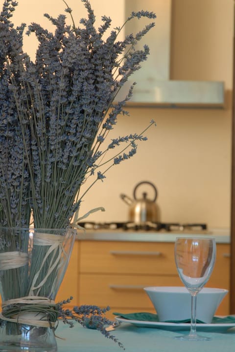 Agriturismo Tenuta Conti Faina Farm Stay in Umbria