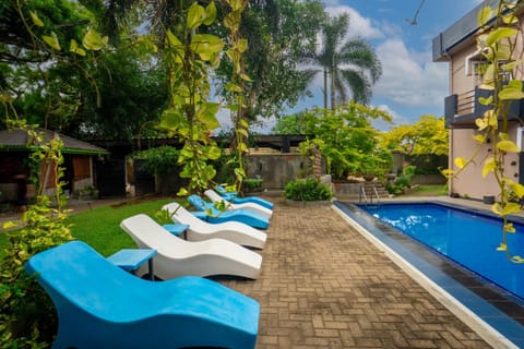 Day, Garden, Garden view, Pool view, Swimming pool, sunbed