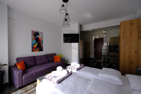 Bed, TV and multimedia, Kitchen or kitchenette, Living room, Photo of the whole room, Seating area, Bedroom, towels, wardrobe